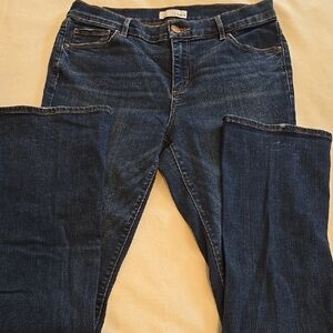 Ann Taylor Loft Modern Boot Jeans